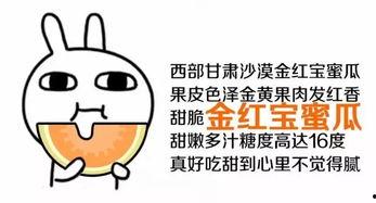 吃瓜群众很想笑,吃瓜群众欢乐时刻大盘点